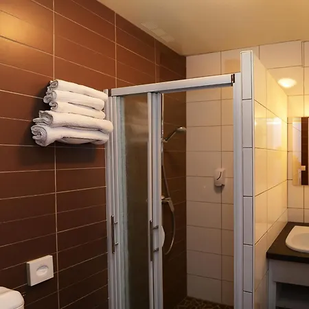 Hotel Logis Chez Germaine Geüs-d'Oloron