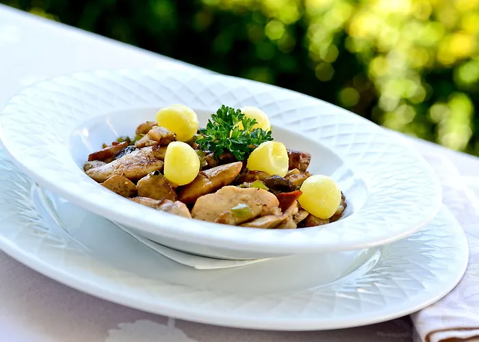 Logis Chez Germaine فندق